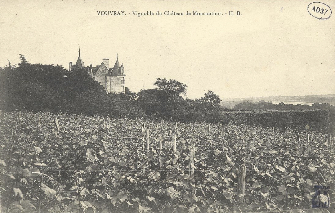 Vignoble du Château de Montcontour